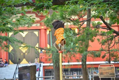 DSC_3522 (Large).JPG